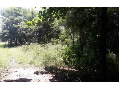 Terreno à venda no bairro Santa Lucía, Limpio 4