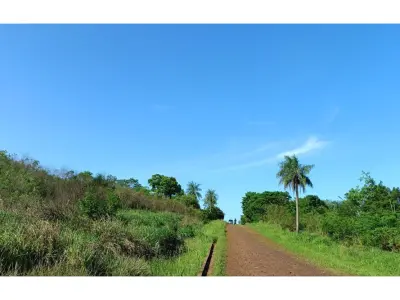 Terreno en venta en Barrio Virgen del Rosario, Obligado 4