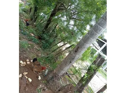 Terreno en venta en Belén, Concepción 3
