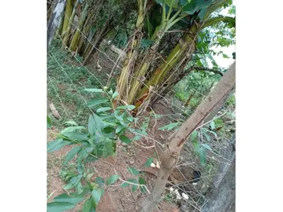 Terreno en venta en Belén, Concepción 4