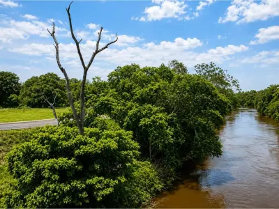 Terreno à venda em Bella Vista, Amambay 2