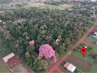 Terreno à venda em Bella Vista, Itapúa 4