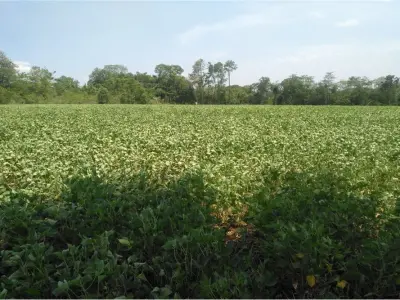 Terreno en venta en Bella Vista, Itapúa 2