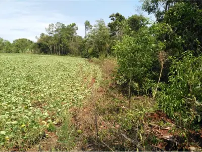 Terreno en venta en Bella Vista, Itapúa 3
