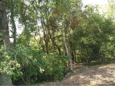 Terreno en venta en Bella Vista, Itapúa 4