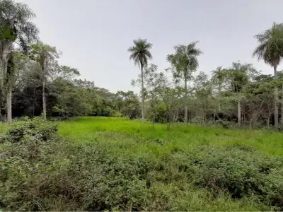Terreno à venda em Caacupé: 1 hectare + 7.000 m² 3