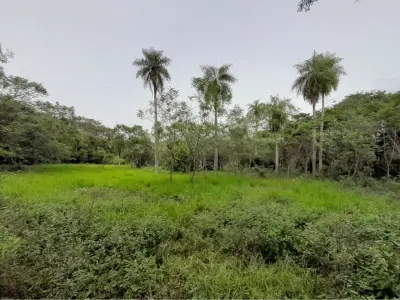 Terreno à venda em Caacupé: 1 hectare + 7.000 m² 4