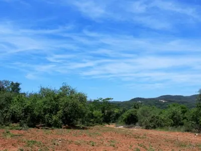Terreno à venda em Caacupé, bairro San Miguel 4