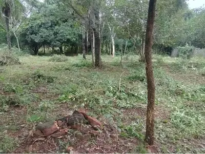 Land for sale in Caacupé, Cordillera 3
