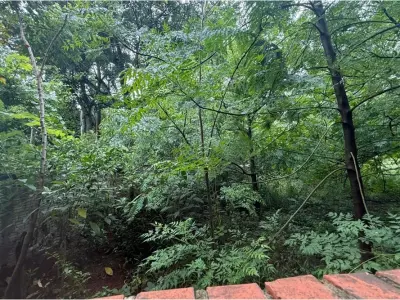 Land for sale in Caacupé, Cordillera 3