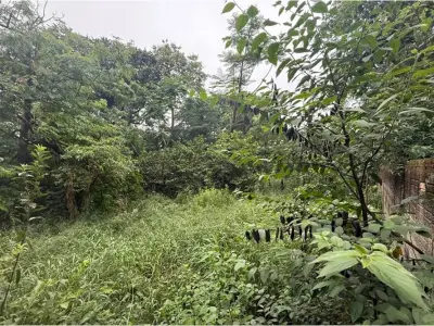 Land for sale in Caacupé, Cordillera 4