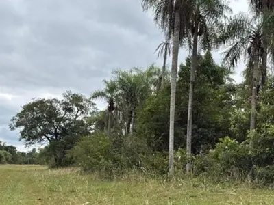 Land for sale in Caacupé, Cordillera 2