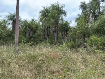 Land for sale in Caacupé, Cordillera 3