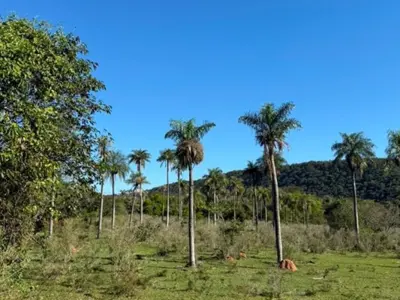 Terreno à venda em Caacupé, Cordillera 3