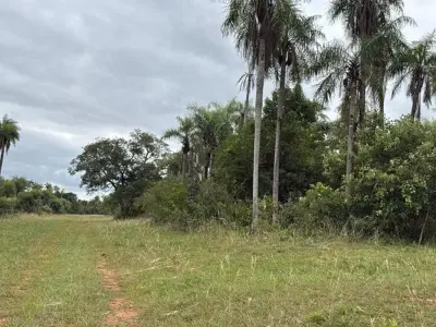 Terreno en venta en Caacupé, Cordillera 2