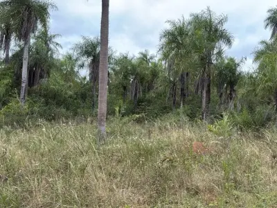 Terreno en venta en Caacupé, Cordillera 3