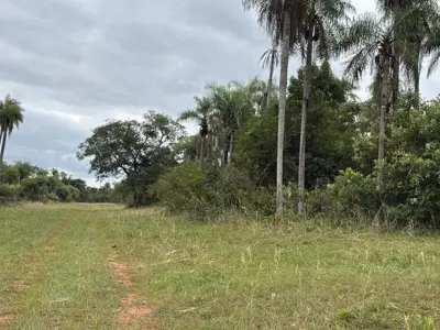 Land for sale in Caacupé, Cordillera 2