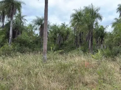 Land for sale in Caacupé, Cordillera 3