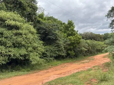 Terreno en venta en Caacupé, Cordillera 4