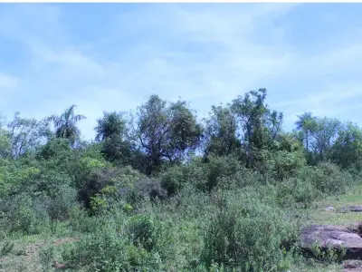Terreno en venta en Caacupé, Cordillera 2