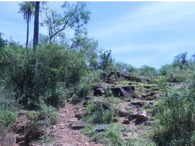 Terreno en venta en Caacupé, Cordillera 3