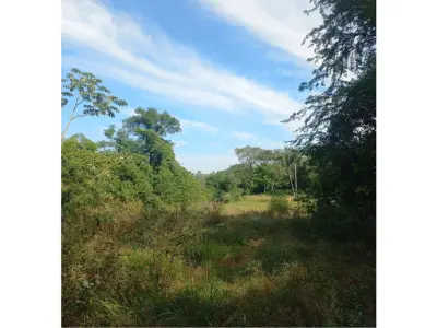 Terreno à venda em Caacupé, San Pablo, para loteamento 3