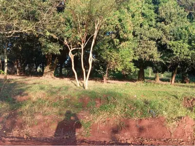 Terreno en venta en Caaguazú, 780 m² 4