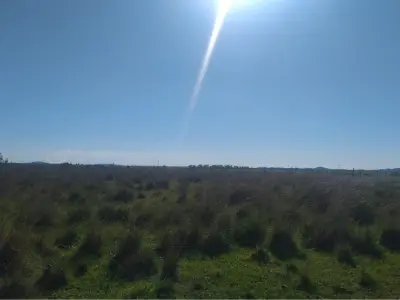 Terreno en venta en Caapucú, Paraguarí 2