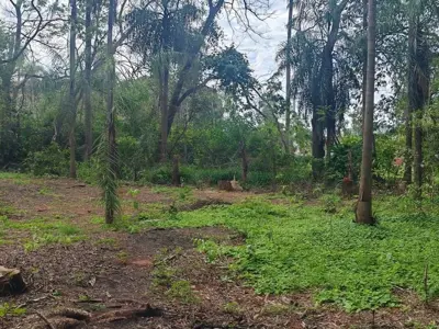 Terreno à venda em Cabañas, Caacupé 3