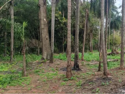 Terreno à venda em Cabañas, Caacupé 4