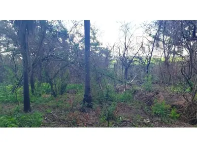 Terreno à venda em Cacupemí, Mariano Roque Alonso 2