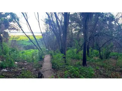 Terreno à venda em Cacupemí, Mariano Roque Alonso 4