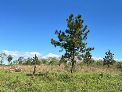 Terreno en venta en Cambyretá, Itapúa 3