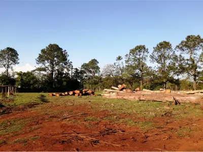 Terreno à venda em Cambyretá, Itapúa 4