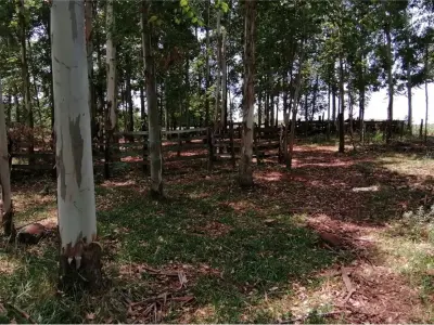 Terreno à venda em Cambyretá, Itapúa 3