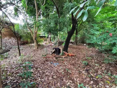 Terreno à venda em Campo Grande, Luque 4