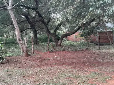Terreno à venda em Cañada Garay, Luque 4