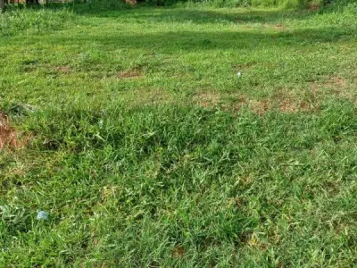 Terreno à venda em Cañada Garay, Luque 2