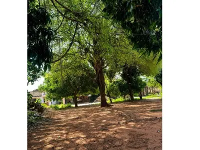 Terreno à venda em Cañada San Rafael, Luque 3