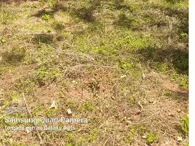 Terreno à venda em Cañadita, Ñemby – 2.130 m² 3