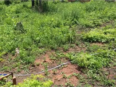 Terreno en venta en Cañadita, Ypané 3