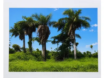 Terreno à venda em Capiatá, Aldana Cañada 3