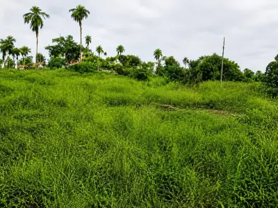 Terreno à venda em Capiatá, Aldana Cañada 4
