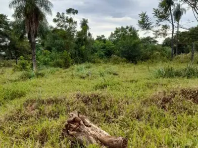 Terreno à venda em Capiata, Central 3