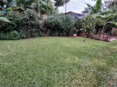Terreno à venda em Capiatá, Uruguai 4