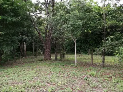 Terreno à venda em Capitán Miranda, Itapúa 2