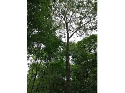 Terreno à venda em Capitán Miranda, Itapúa 3