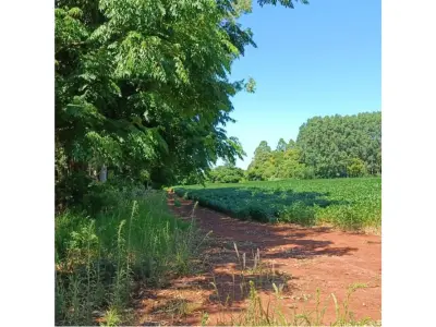 Terreno en venta en Capitán Miranda, Itapúa 2
