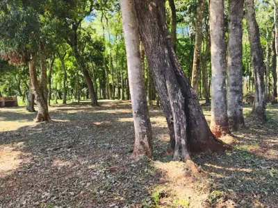 Terreno en venta en Capitán Miranda, Itapúa, 360 m² 2