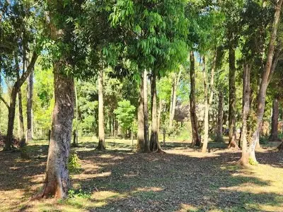 Terreno en venta en Capitán Miranda, Itapúa 2